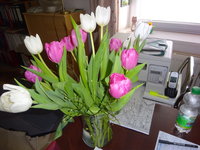 DSC02814.JPG