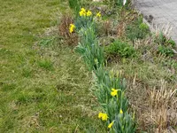 DSC02816.JPG