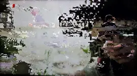 TV.webp