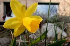 DSCN4592.webp