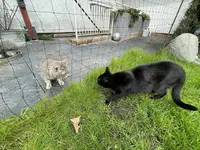 A7CD7C12-6276-4F07-80AD-0D566B7C9065.jpeg
