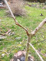 IMG-20230317-WA0000.jpg