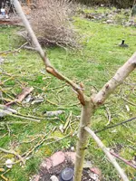 IMG-20230317-WA0000.webp