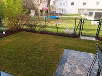 20230321_074250.jpg