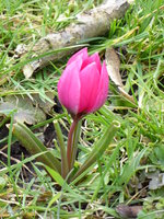 P1000547.JPG