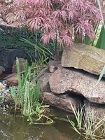 20221012_180912.jpg