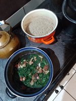IMG_20230323_183931.jpg