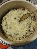 IMG_20230323_190046.jpg