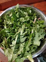 IMG_20230323_180153.webp