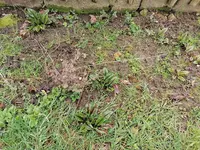 IMG_20230324_083056.webp