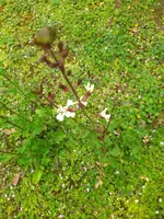 IMG_20230323_111725.jpg