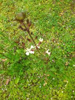 IMG_20230323_111725.jpg