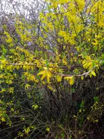 IMG_20230323_111637~2.jpg