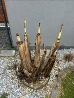 test.JPG