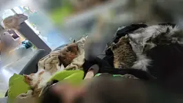 20230324_165102.webp