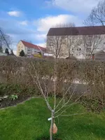20230324_175242.jpg
