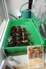 DSCN4596.webp
