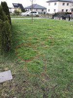 E3242B8C-097D-4CA9-BC04-4AAE319CFC26.jpeg
