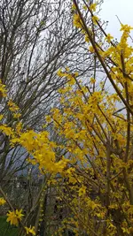 20230325_102825.webp