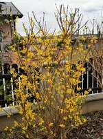 IMG_20230325_120030.webp