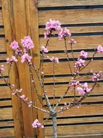 IMG_20230325_115857.webp