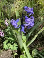 7B566AB5-0EC0-4831-9739-3FF2B3C61CF3.jpeg