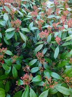 IMG_20230323_111653~2.webp