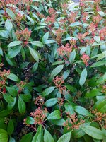 IMG_20230323_111653~2.jpg