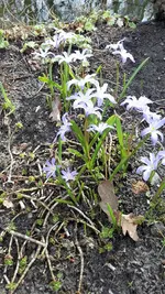 blau1.webp
