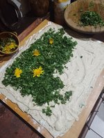 IMG_20230325_182156.jpg