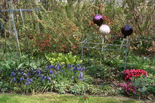 Frühling     2122.JPG