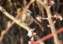 020.webp