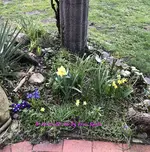 IMG_4410.webp