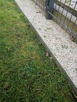IMG_20230218_103512.jpg