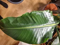 20230327_163514.webp