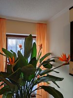 IMG-20230327-WA0035.jpg
