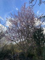 26101C1D-C5FD-47BB-AB5F-1D9A2579B82B.jpeg