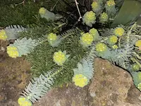 730BF75D-0EC8-453E-AA64-73F364C2BF0C.jpeg
