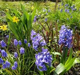 IMG_20230328_154411.jpg