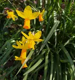 IMG_20230328_154445.webp