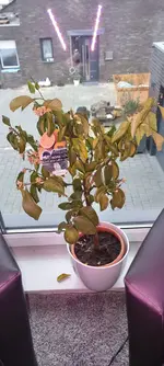 20230329_085949.webp