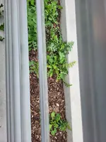 20230329_153230.webp