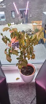 20230329_085949_edit_1002749692543865.webp