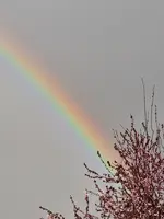 20230330_185409.jpg