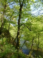 P1000316.JPG