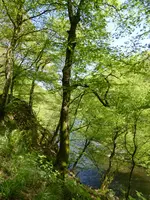 P1000316.webp