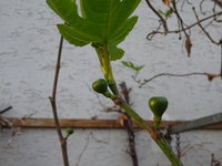 DSC02827.JPG