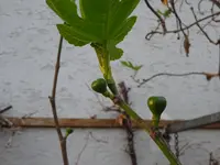 DSC02827.webp