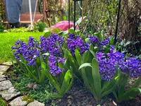 IMG_8775.webp