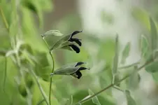 002.webp